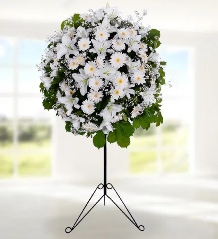 BEYAZ GERBERA FERFORJE 