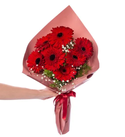 kırmızı gerbera buketi