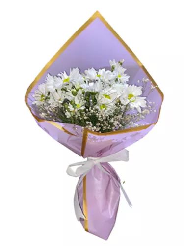 Papatyalar